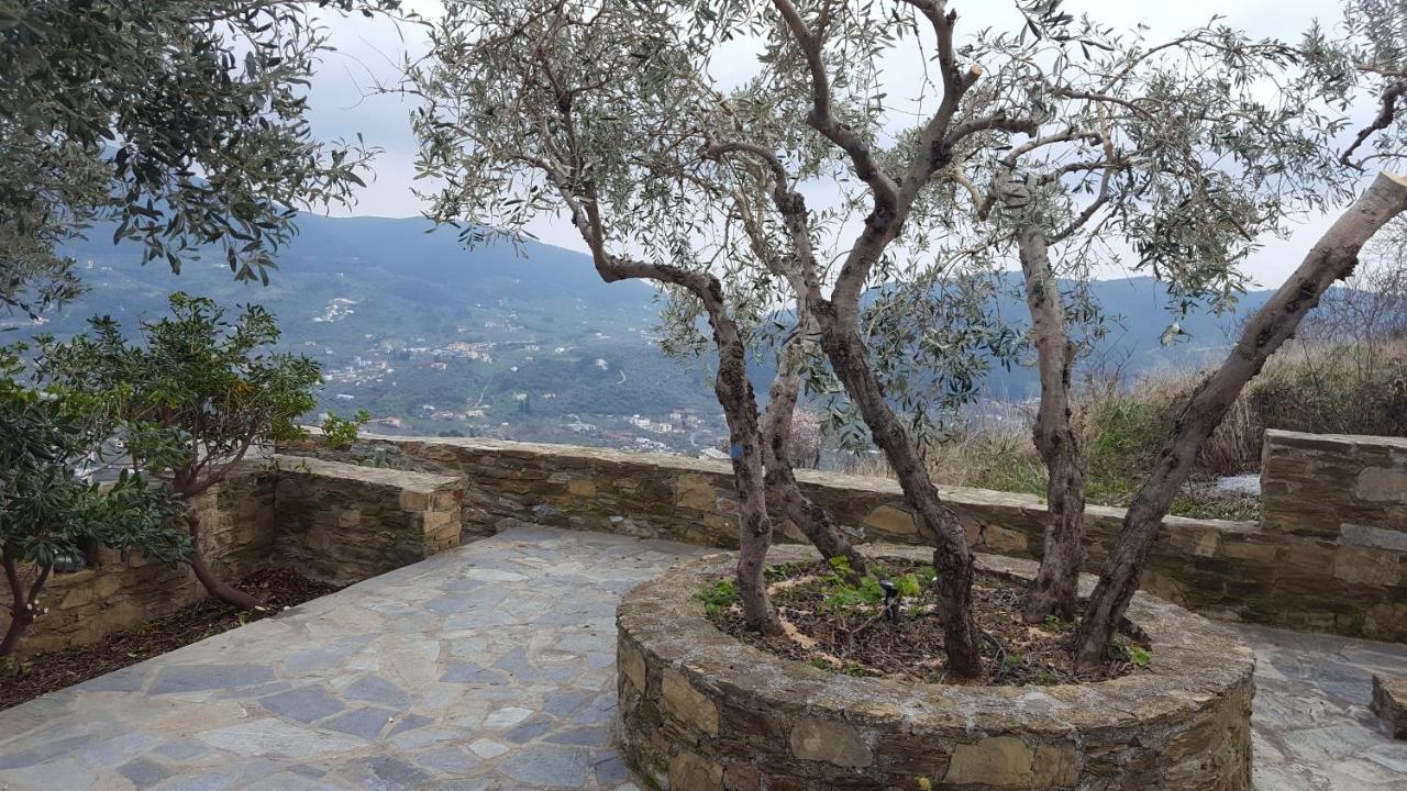 סקופלוס טאון Erato Villa מראה חיצוני תמונה